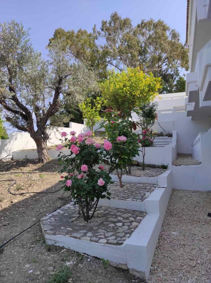 Arocaria - Faliraki Peaceful Apartments Exterior foto
